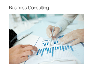 Business Consulting